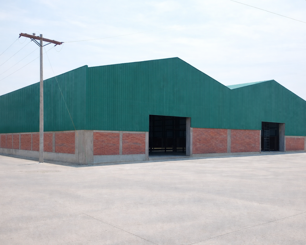 ChatGPT Image 4 feb 2026, 11_26_05 p.m.