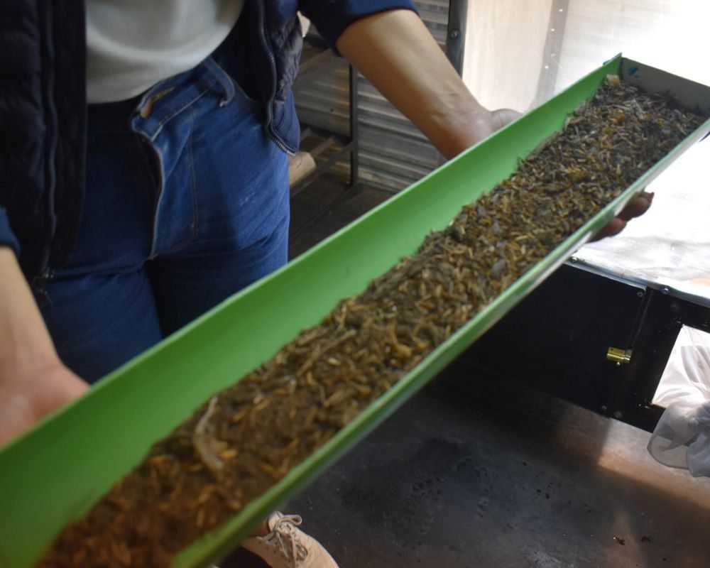 Diseño sin título (1)